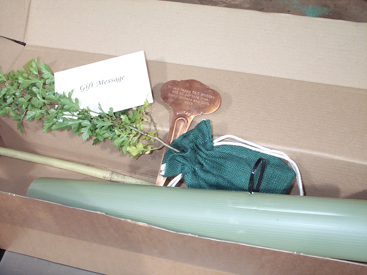 Treesonline Crab Apple Tree Presentation Box **PRICE INCLUDES FREE MAINLAND UK DELIVERY*